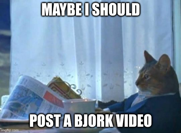 Maybe I should post a Bjork video?